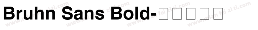 Bruhn Sans Bold字体转换